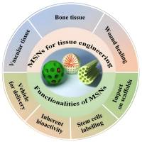 负载吉西他滨的介孔二氧化硅纳米颗粒被硫酸肝素蛋白聚糖Syndecan-1修饰 Gem@MSNs-SDC1