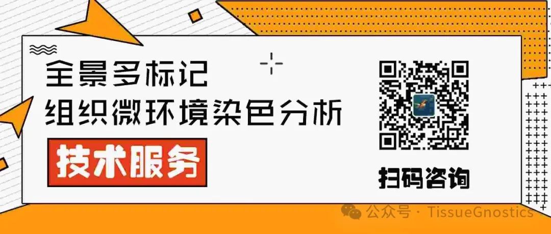 从样本到数据：TissueGnostics 全景多标记技术服务，科研效率翻倍的秘密