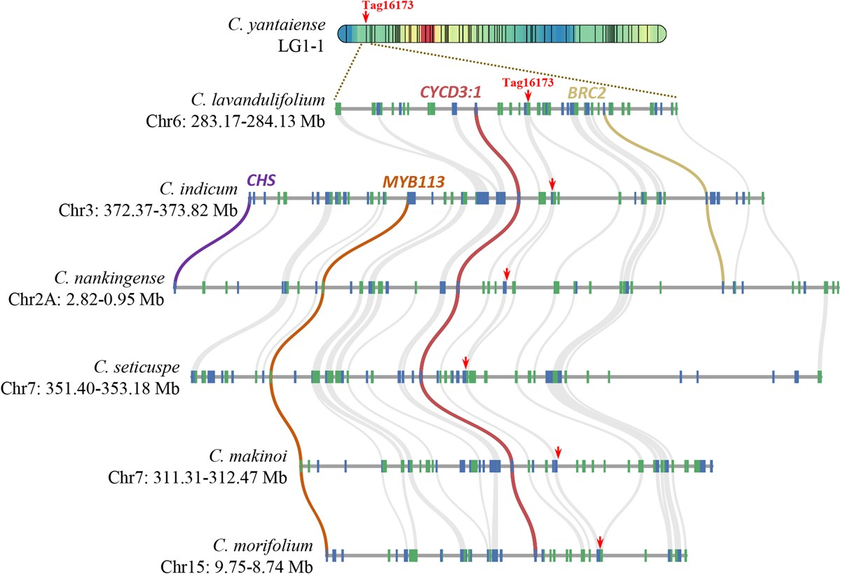 BMG LABTECH多功能酶标仪文献分享20250804