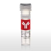 Invitrogen™ Biotin-Anti-His-Tag Antibody