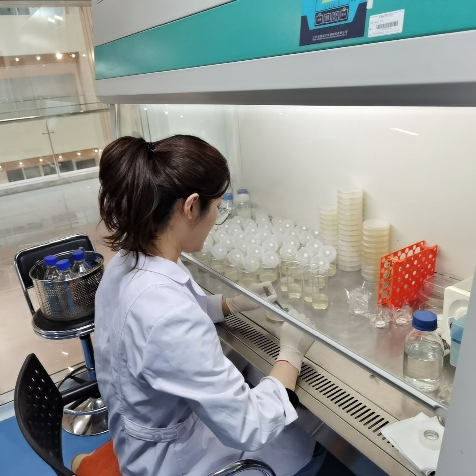 试管苗扩繁服务