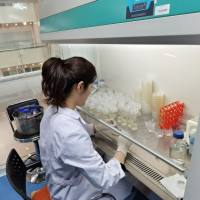 试管苗扩繁服务