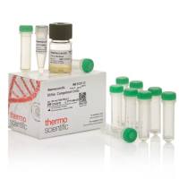 Thermo Scientific™ DH5α 感受态细胞