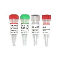 HotStart Bst III DNA Polymerase  试剂
