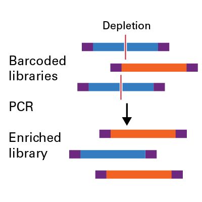 链特异性RNA建库试剂SMART-Seq® Total RNA Pico Input with UMIs (ZapR™ Mammalian)