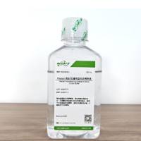 Western免封闭通用型抗体稀释液