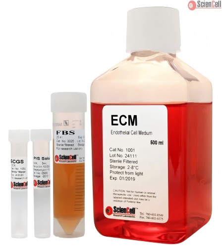 Sciencell 1001 ECM 内皮细胞培养基