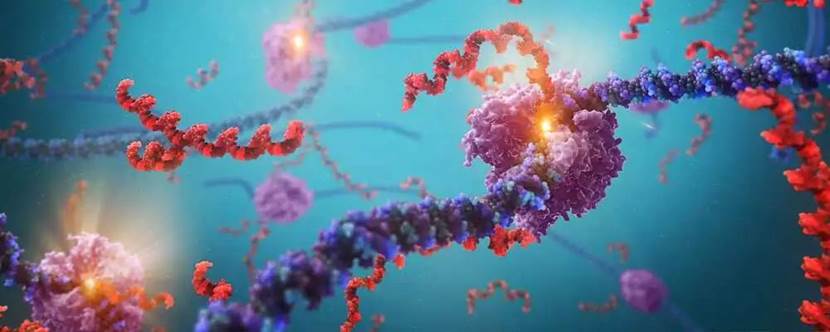 赛默飞 Stellar™ MS 实现大规模代谢组学同步定性定量