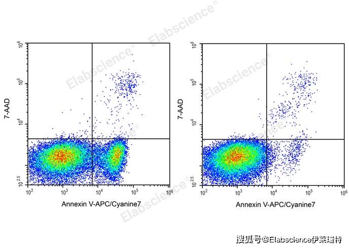 流式凋亡检测新标杆！Elabscience Annexin V-APC/Cyanine7 / 7-AAD细胞凋亡检测试剂盒，精准区分凋亡阶段！