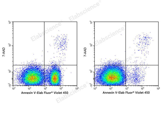 Elabscience Annexin V-Elab Fluor® Violet 450 / 7-AAD细胞凋亡检测试剂盒——高灵敏度多色流式兼容，精准解析细胞凋亡动态！