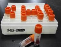 小鼠肝微粒体 Mouse  Liver Microsomes   药物代谢稳定性实验/ADME实验/药理和药代相关实验