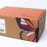 5´ AppDNA/RNA 热稳定连接酶