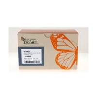 NEBNext® 低偏差 Small RNA 建库试剂盒