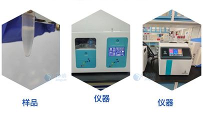 DNA 片段化如何高效搞定？高通量声波剪切仪让片段均一且零污染，结果更一致