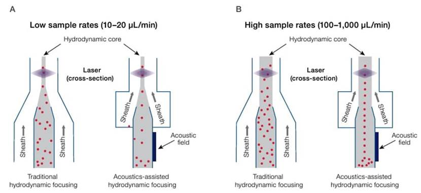 声波聚焦与传统流体动力学聚焦的比较图示