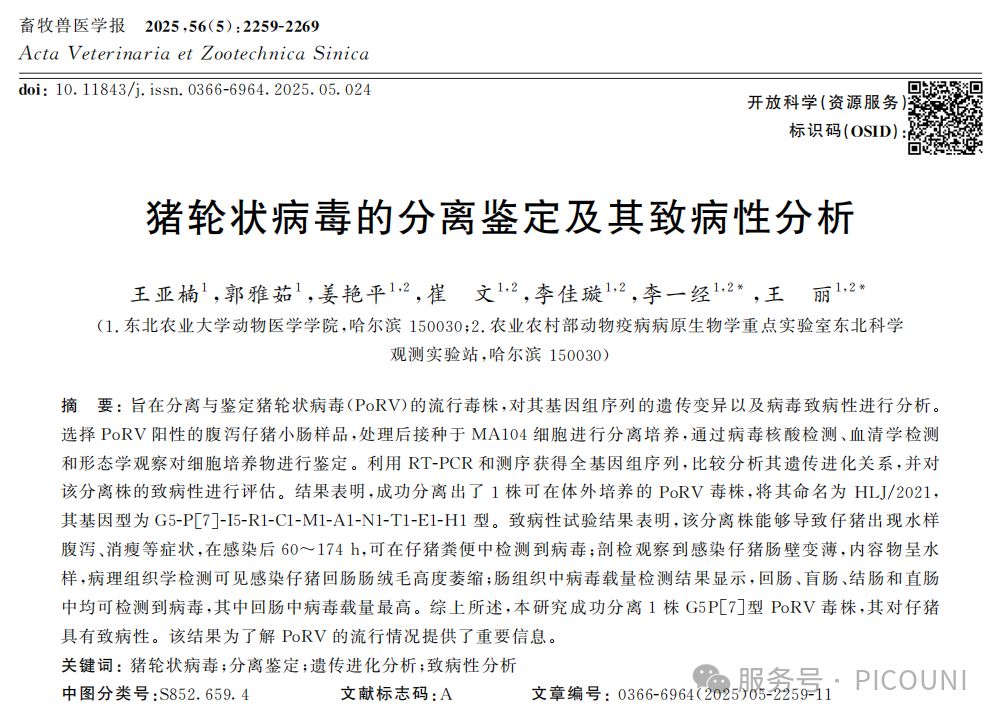 畜牧兽医学报2025年5月刊“猪轮状病毒的分离鉴定及其致病性”文章分享