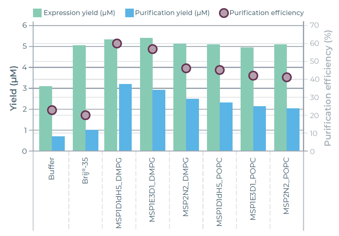 利用纳米盘和去垢剂进行MsbA的表达与纯化。8组表达条件下MsbA产量对比