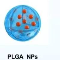 聚乳酸-羟基乙酸共聚物纳米颗粒包载阿仑膦 酸钠和甲泼尼龙 PLGA NPs@AL/MP