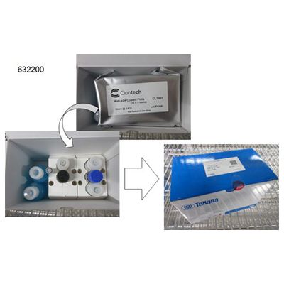 慢病毒滴度测定Lenti-X™ p24 Rapid Titer Kit (Single Wash)