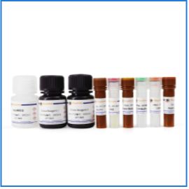 总一氧化氮检测试剂盒  赔钱处理一盒