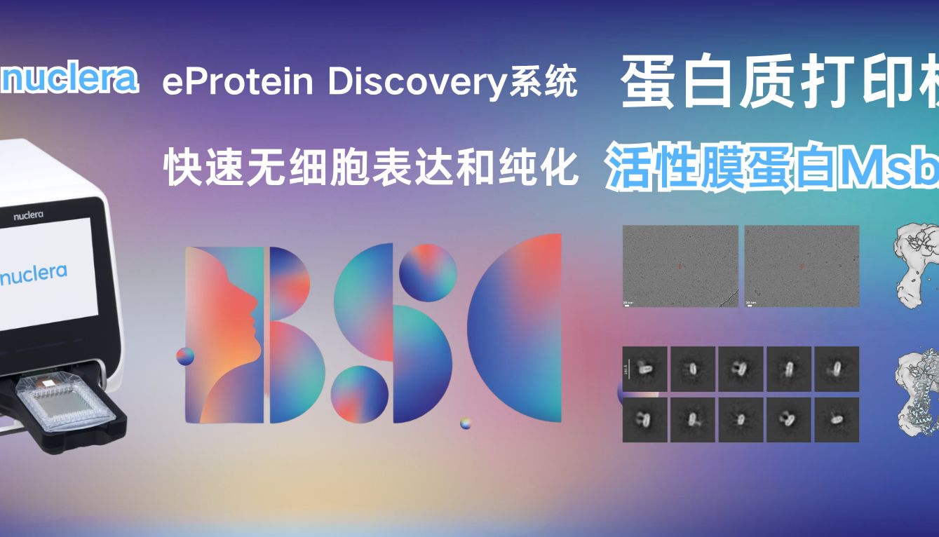 eProtein Discovery蛋白质打印机展会精彩回顾！48h制备活性膜蛋白MsbA并验证其功能和结构