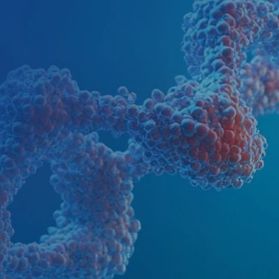 Plus热启动Taq DNA聚合酶 (抗体修饰)