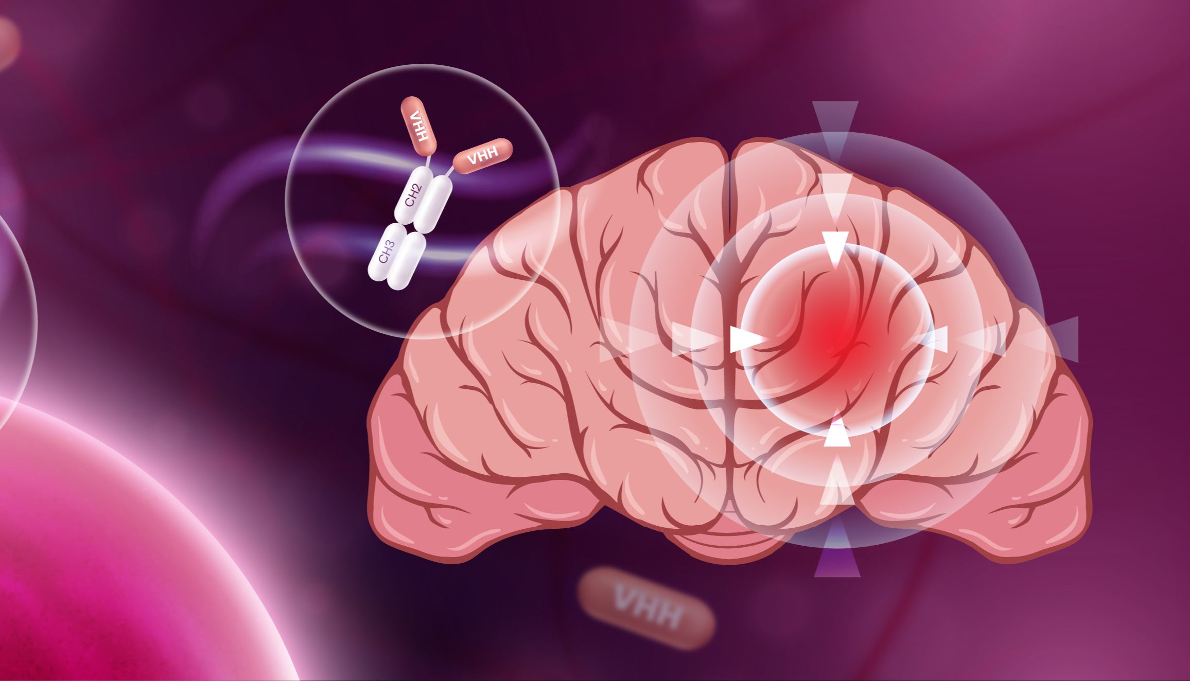 纳米抗体疗法挽救NMDA受体功能低下引起的神经行为缺陷