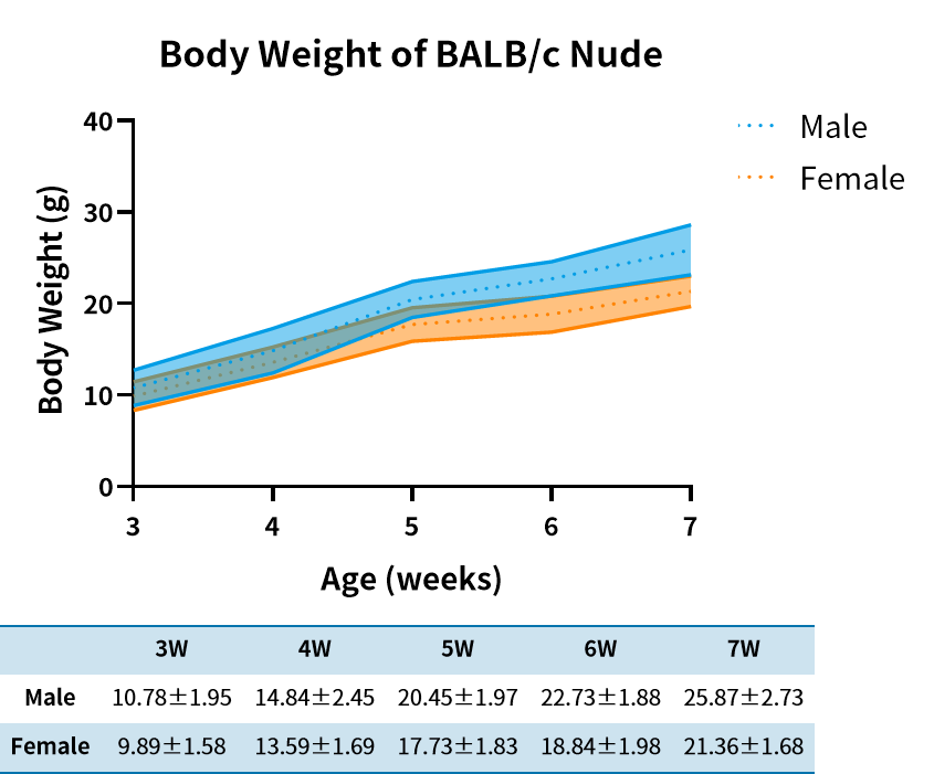 裸鼠长毛，实验还能照常做吗？