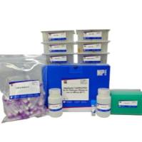 (MPure-96™)病原体DNA/RNA提取试剂盒(磁珠法)