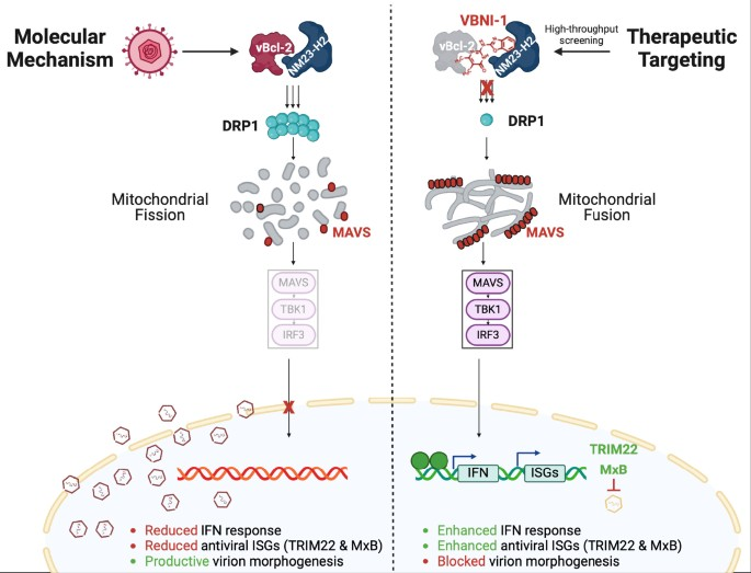 BMG LABTECH多功能酶标仪文献分享20250805