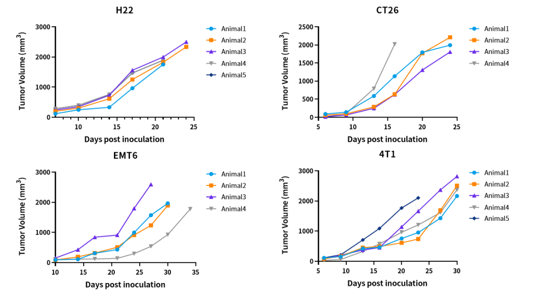 裸鼠长毛，实验还能照常做吗？