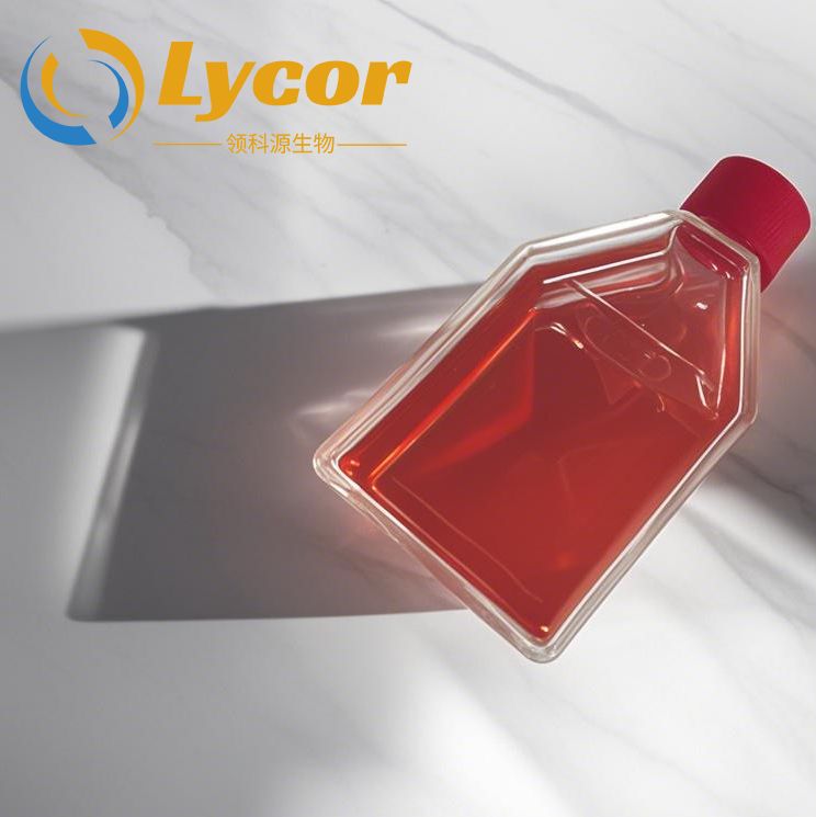 0.25%胰酶消化液含EDTA,PhenolRed(改良型Lycorbio)