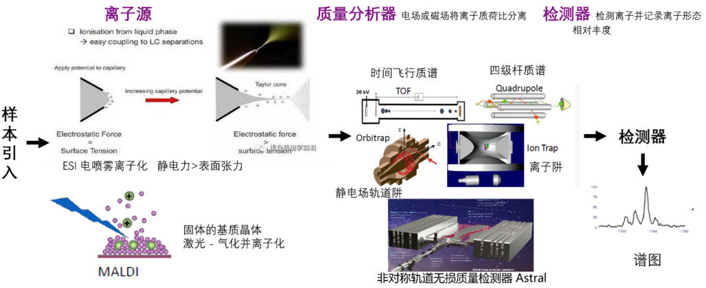 蛋白质组两大主流技术，谁是你的菜？