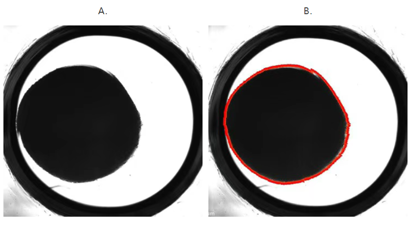用于 3D 模型能量代谢研究的安捷伦 Seahorse XF Flex 分析仪及优化的工作流程