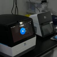 单细胞转录组测序(10X)