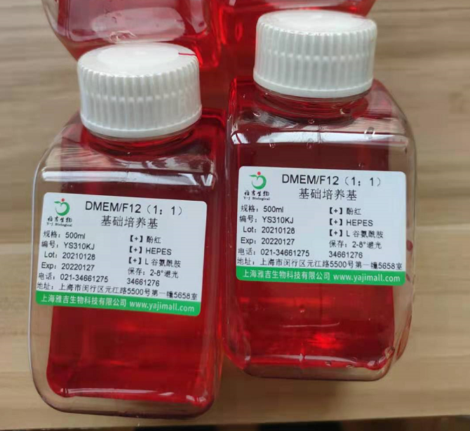 calu6人间变性肺腺癌细胞如何培养