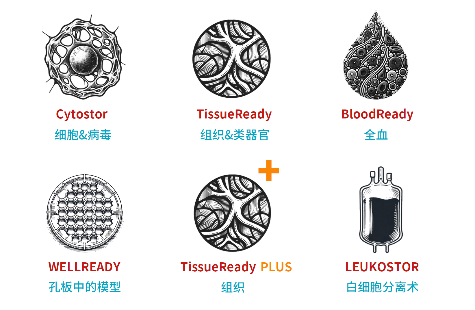 Atelerix品牌6大系列热卖产品