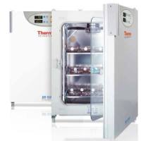 二氧化碳培养箱