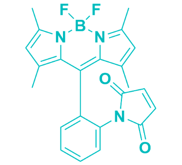 BODIPY Green 8-P2M