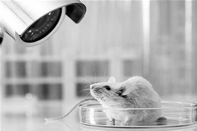 助力行为学研究，玉研仪器行为学设备打造精准实验平台