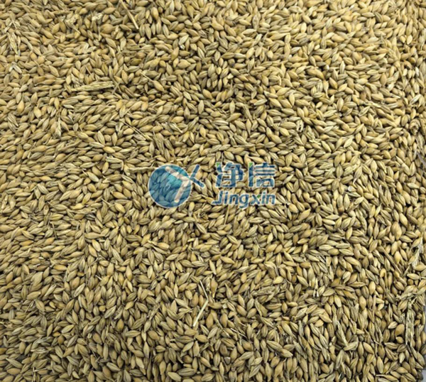 【免费试用】高速冷冻研磨均质仪和传统研磨仪对燕麦研磨效果差距有多大？