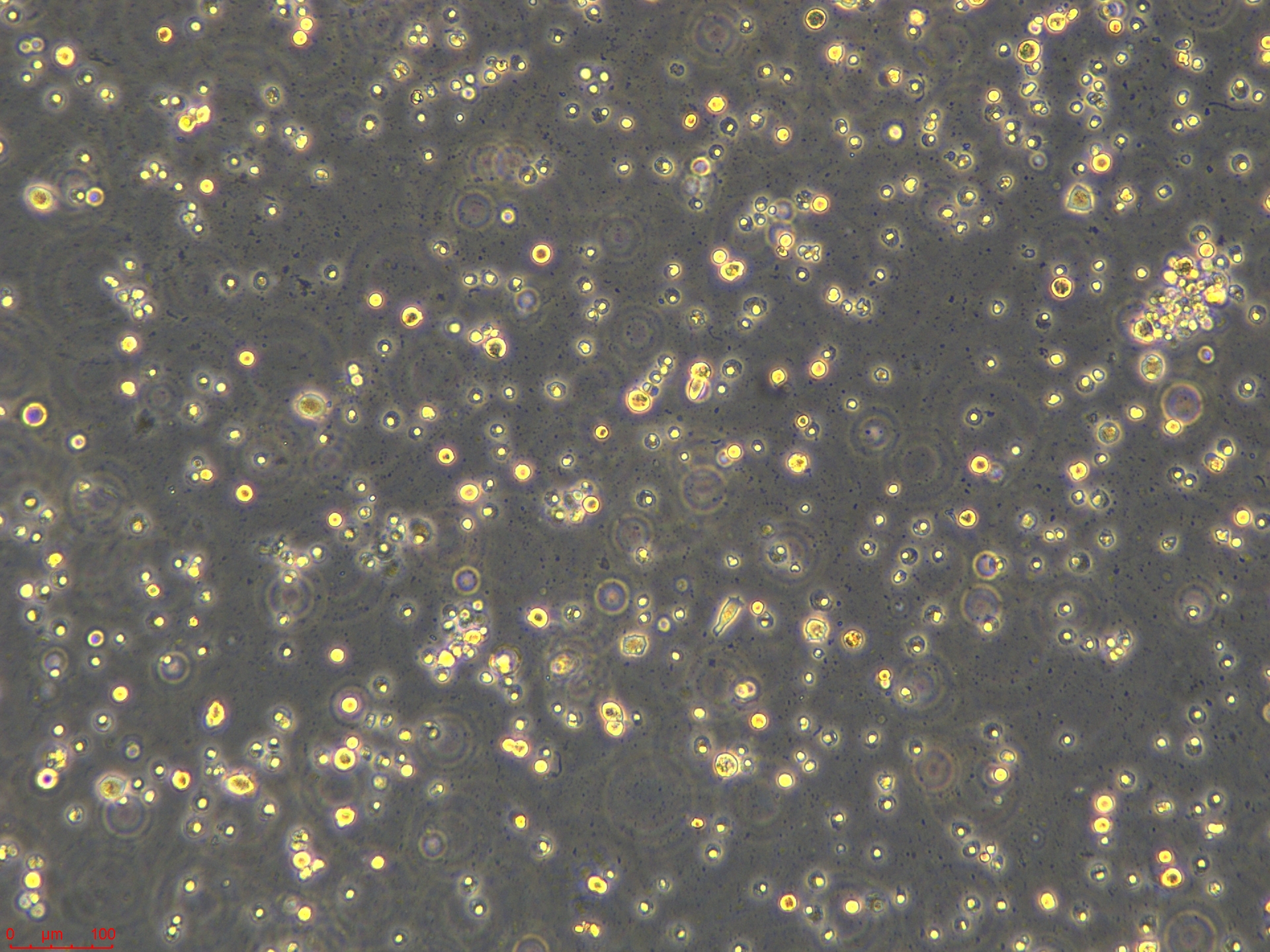 Project_BT-483_ch00 (2).jpg