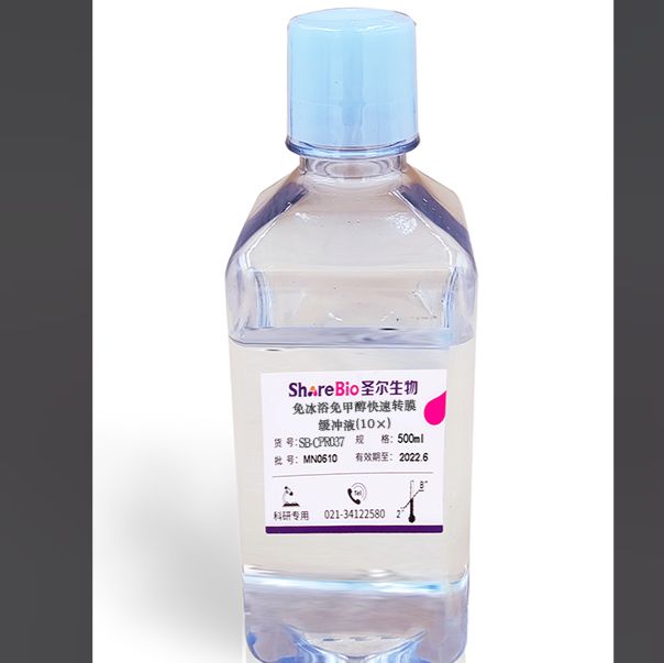 免冰浴免甲醇快速转膜缓冲液(10×) Western Blot Rapid Transfer Buffer (10×)