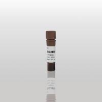 Nabact Rid黑胶虫清除剂