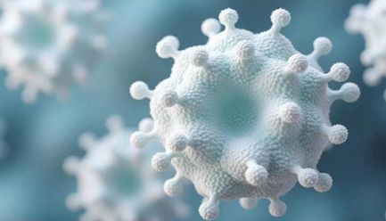 现货供应！高活性GM-CSF重组蛋白，低内毒素，支持实验验证！