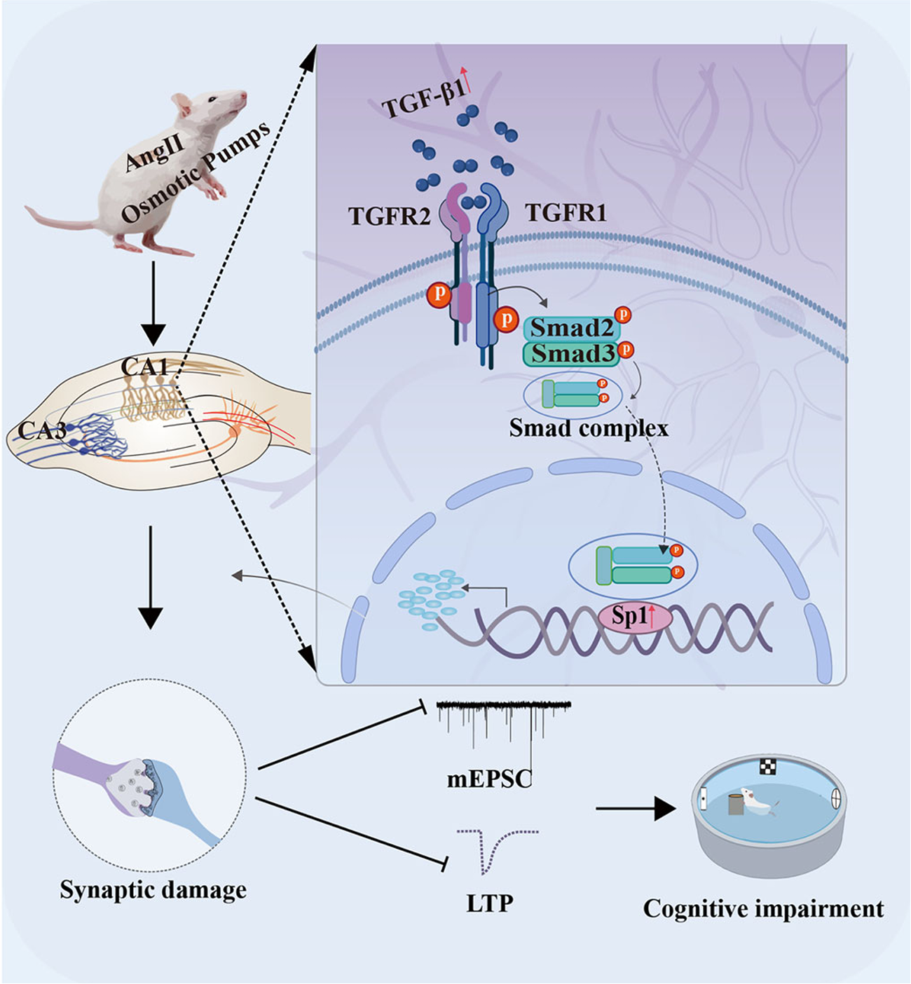 MED64平面微电极矩阵记录系统文章分享20250807