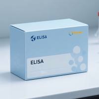 人CD29分子(CD29)ELISA试剂盒