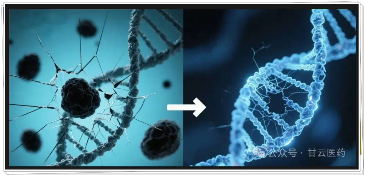 解锁肌肤焕新密码：RNA的神奇美妆功效