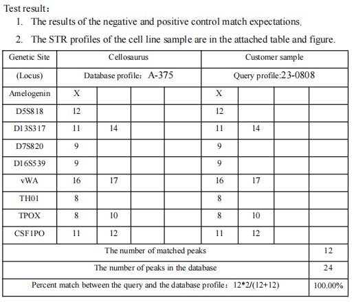 浙江美森-人恶性黑色素瘤细胞 A-375