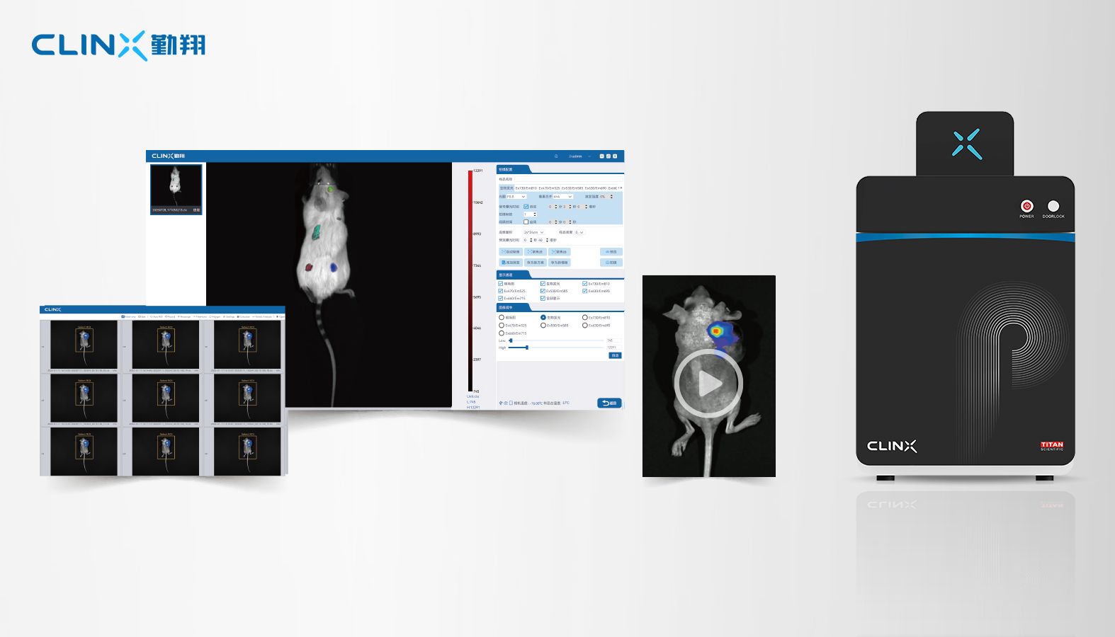 软件升级|全新勤翔IVScopeEZ活体图像采集分析软件，化繁为简，赋能科研效率提升